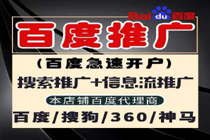 sem竞价广告的胜利之道：多行业成功案例剖析